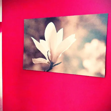 Residencia Norte - Al Nazaré