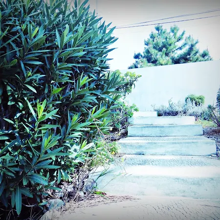 Residencia Norte - Al